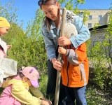30 сәуір күні «Родничок» бөбекжай-бақшасының тәрбиеленушілері мен ұжымы ағаш отырғызу акциясын өткізді. Іс-шараның мақсаты – қоршаған ортаны қорғау, табиғатқа деген сүйіспеншілікті арттыру және балаларға экологиялық тәрбие беру. Акция барысында балабақша 